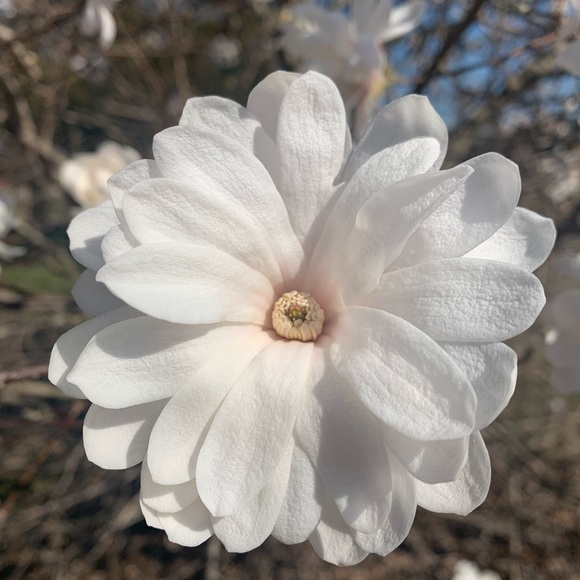 Looking for more vintage items? Check out my page @boho_vintage_mcm - Picture 7 of 8